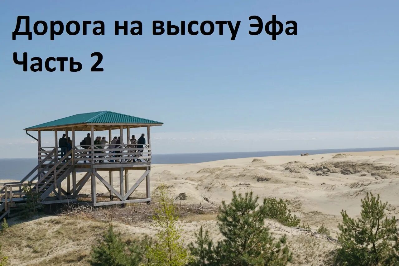Высота эфа фото. Куршская коса калининград дюна эфа. Куршская коса калининград высота эфа. Дюна ореховая куршская коса. Дюна эфа смотровая площадка.