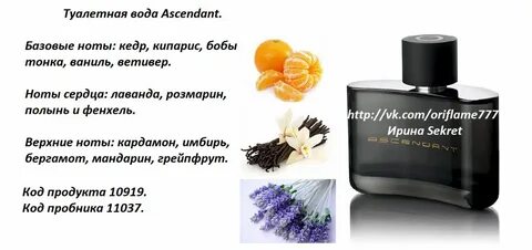 Ноты бергамота
