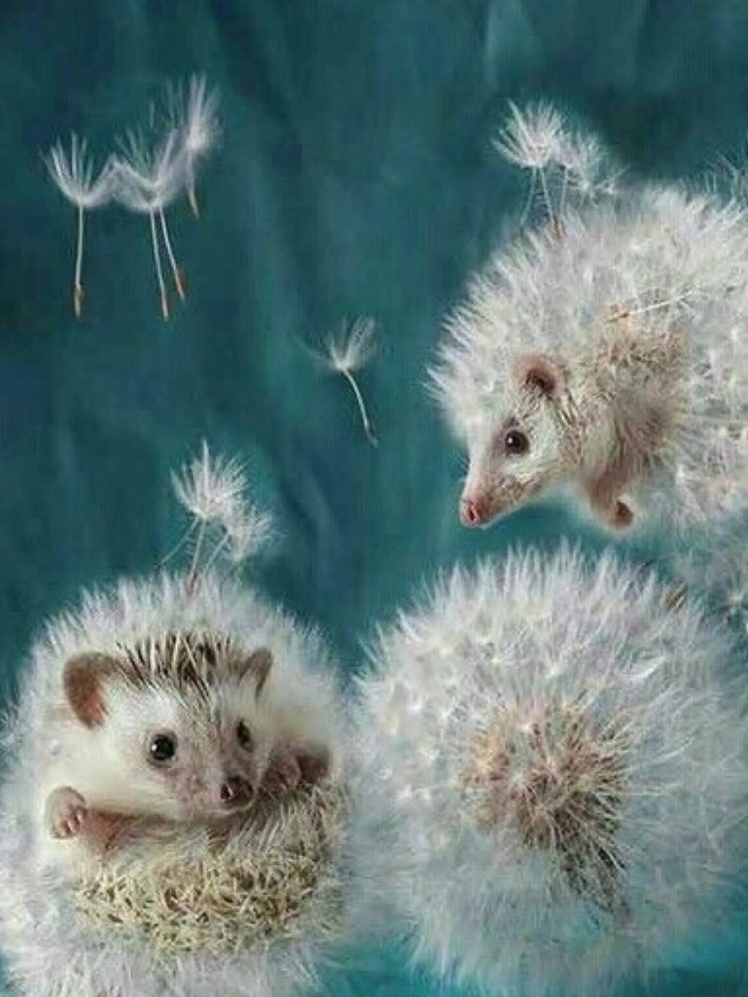 Мышки ежики. Мышки ежики