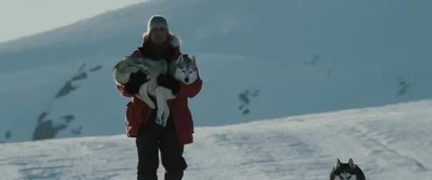 Снежное братство на реальных