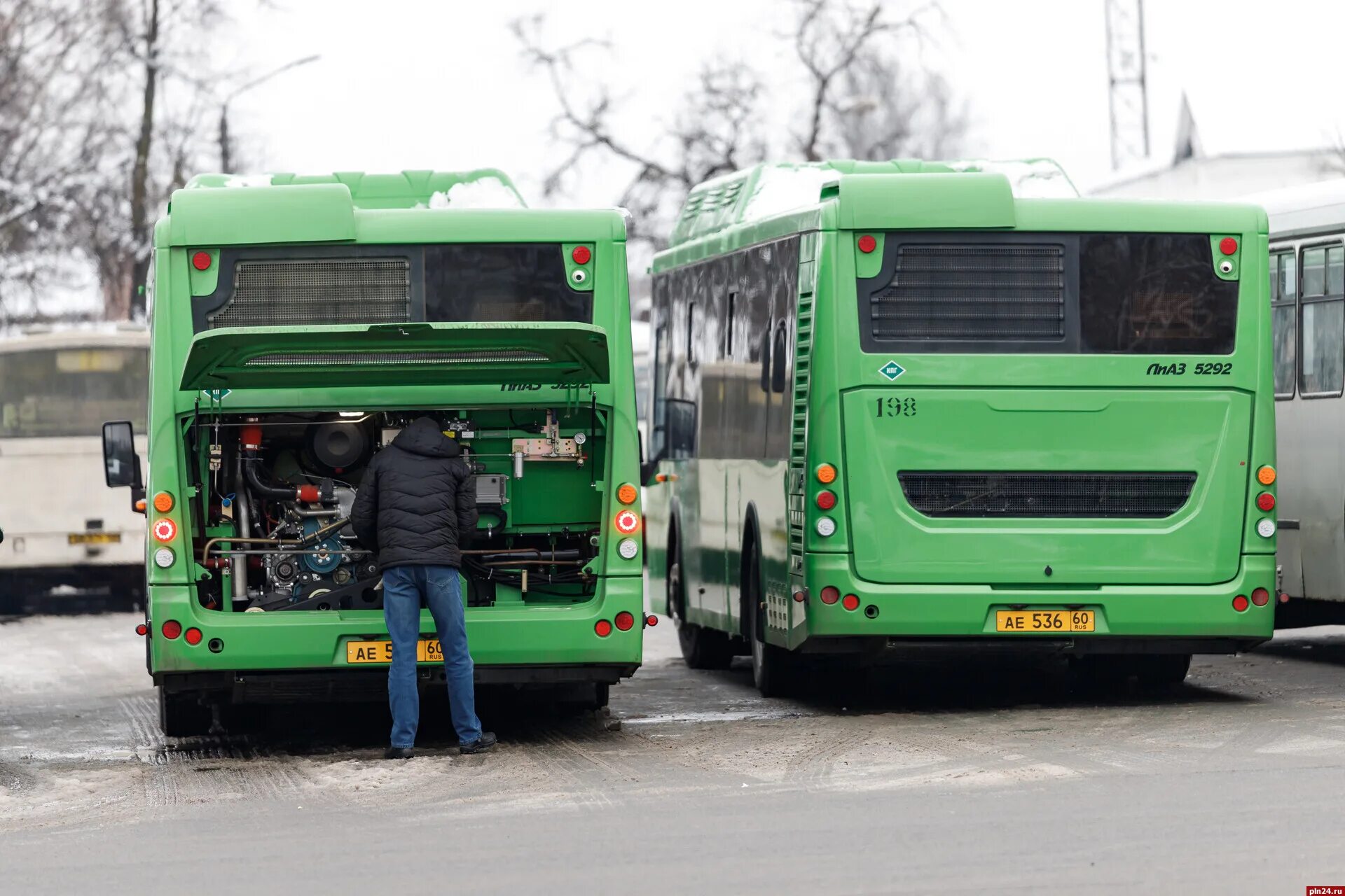 Псковский автобус. Автобус Псков. Новые автобусы Псков. Новые зеленые автобусы Псков.