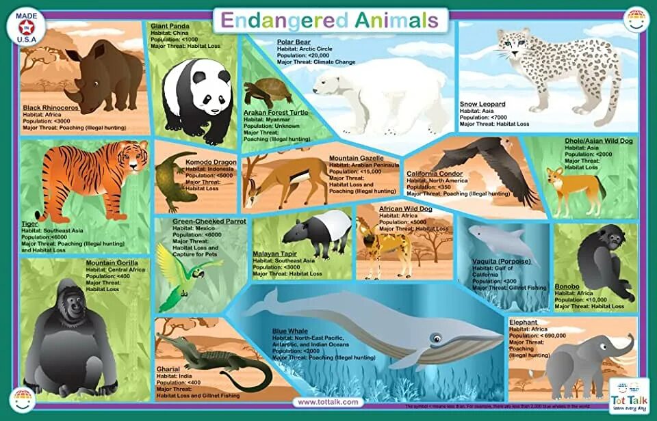 Specific features of animals. Проект &quot; endangered animals&quot;. endangered species for kids. таблица endangered species. вымирающие виды животных на английском.