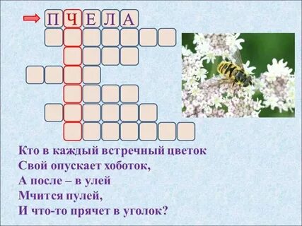 Особенность волжского выговора кроссворд