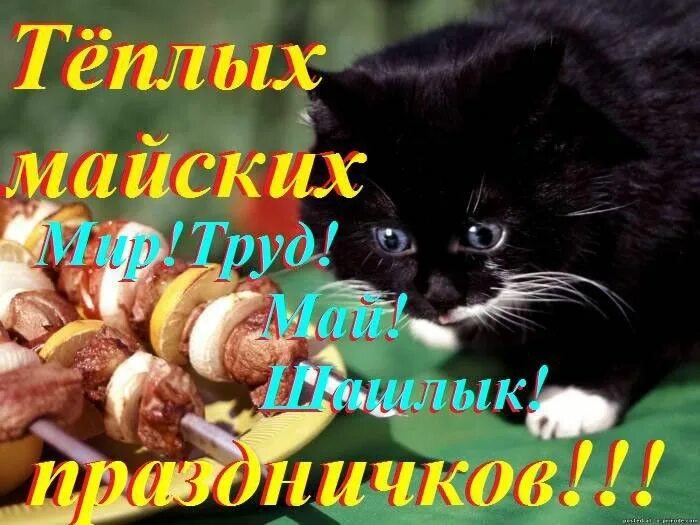 Открытка мир труд шашлык
