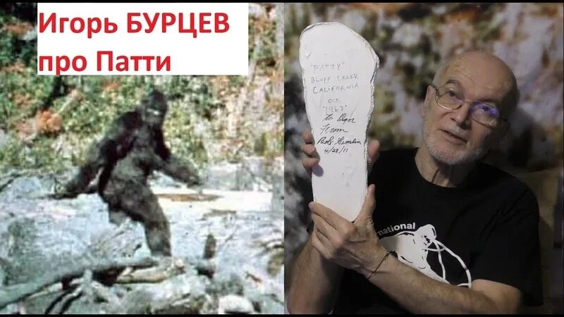 Дмитриевич бурцев. Бурцев игорь дмитриевич. игорь бурцев йети. игорь бурцев гоминолог. бурцев игорь дмитриевич гоминолог.