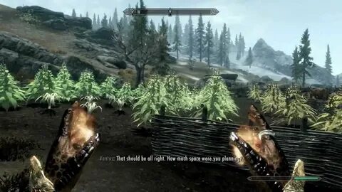 Skyrim plants