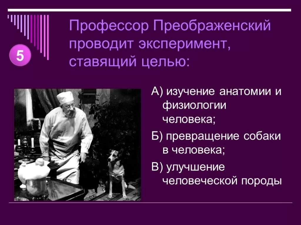 Почему эксперимент профессора преображенского не удался. Эксперимент профессора Преображенского. Цель эксперимента профессора Преображенского. Эксперимент Преображенского Собачье сердце. Опыт Преображенского Собачье сердце.