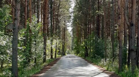Ближайшие окрестности