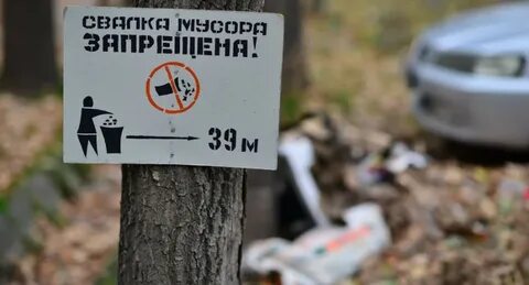 Какие штрафы за свалку
