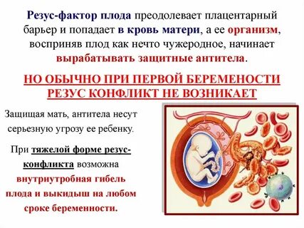 Как влияют разные резусы на беременность