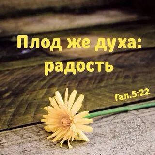 Радости духа