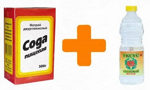 Грибок уксус сода