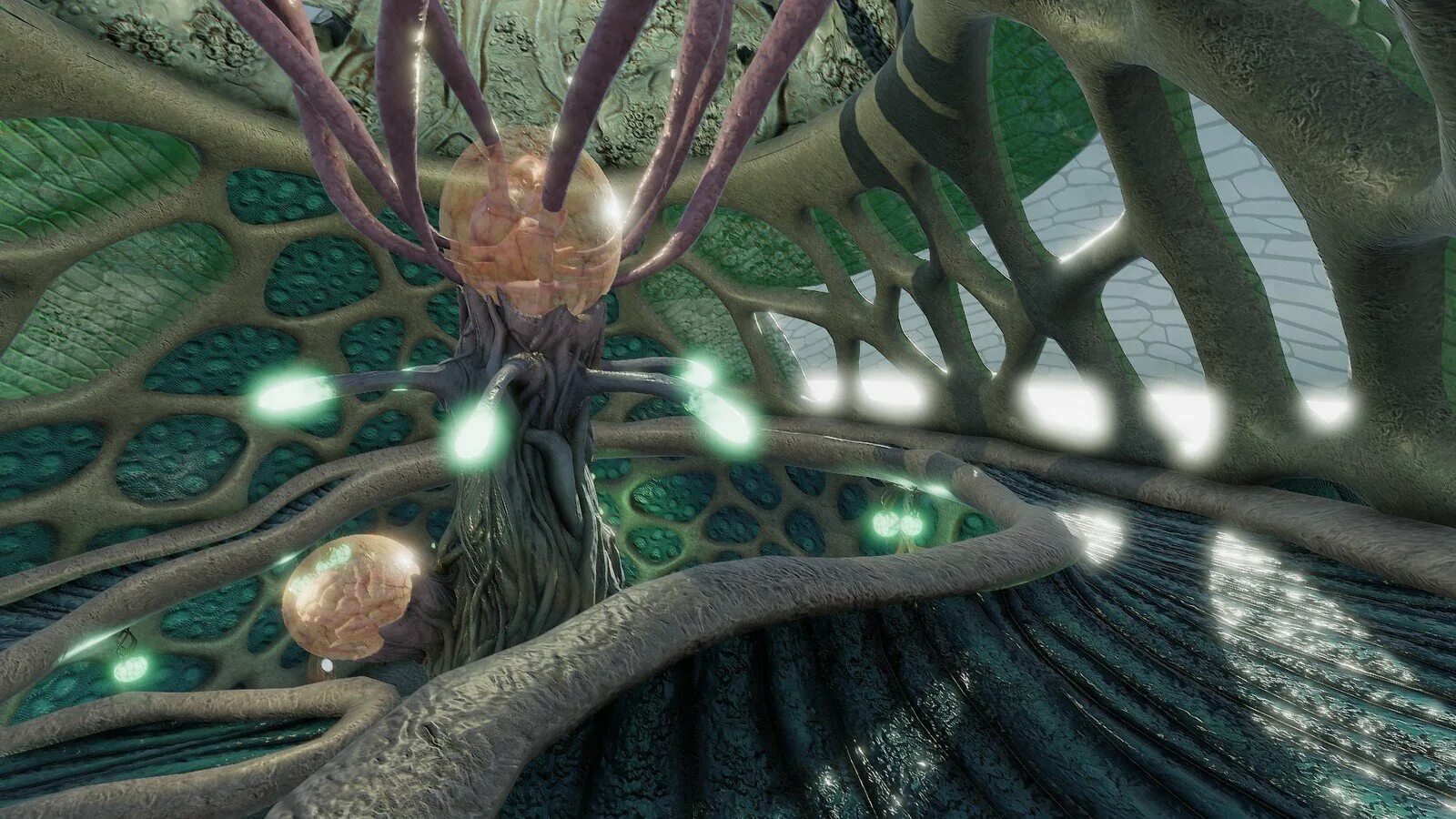 Montagen bionica espectral 2