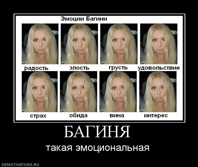 три руки багиня орг. гигантская равнокрылая стрекоза. жук нарывник. багиня орг. портал насекомые.