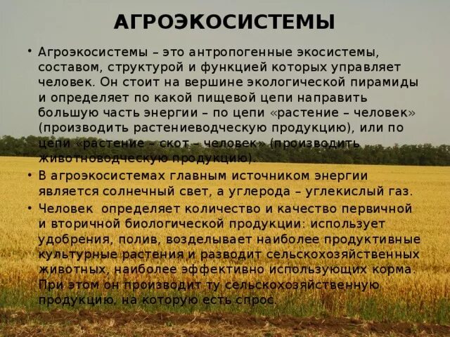 Агроценозом является капустное поле