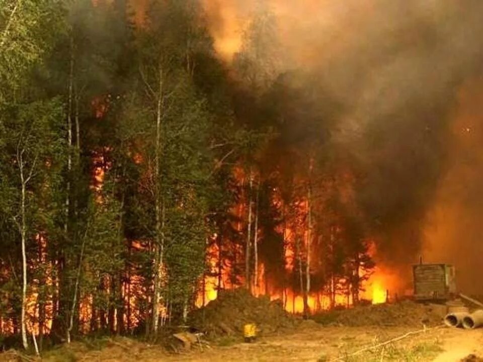 Лесные пожары красноярск. Лесные пожары в Хабаровском крае. Пожары Егорьевский район Лесные. Егорьевский район Алтайский край горит лес. Лесные Поляны Первомайский район Алтайский край пожар.