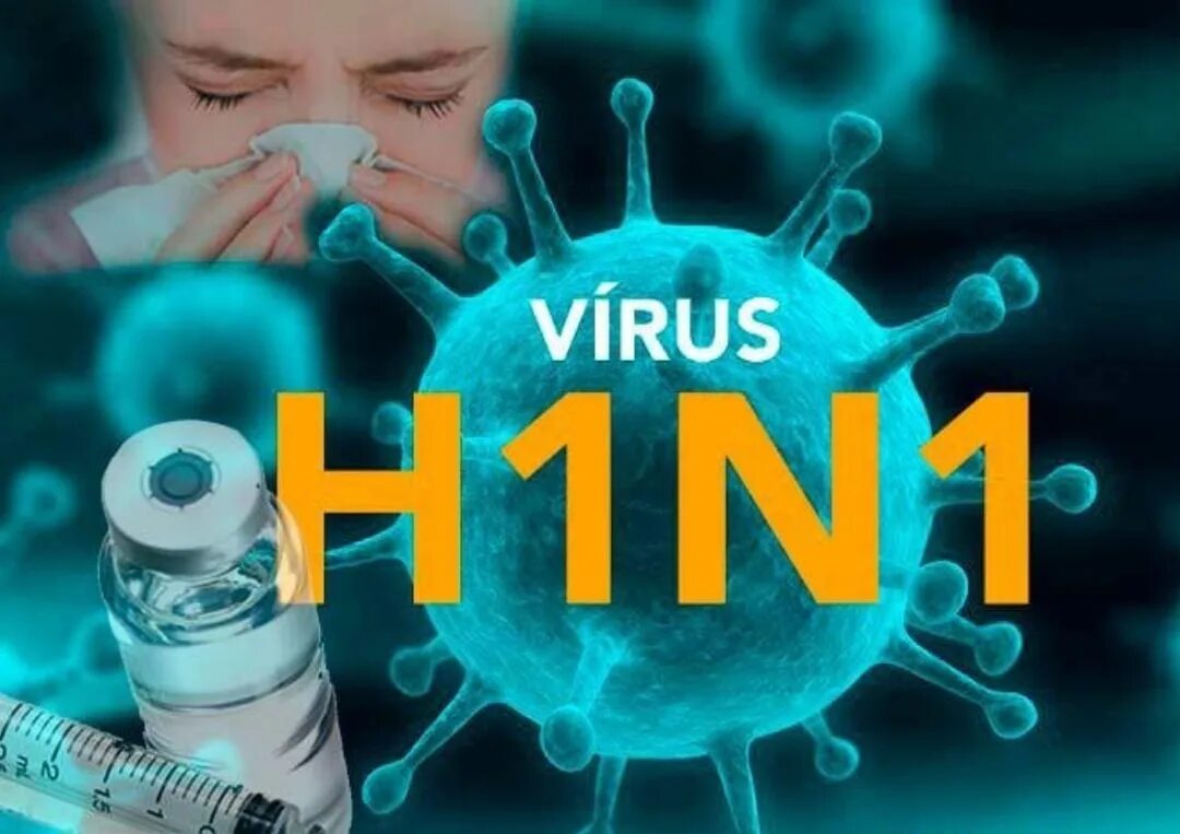 Тест 1 вирусы. Вирус h1n1. Грипп h1n1. Свиной грипп h1n1. Грипп н1n1 симптомы.