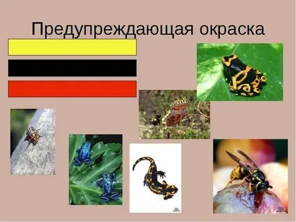 Предостерегающий пример