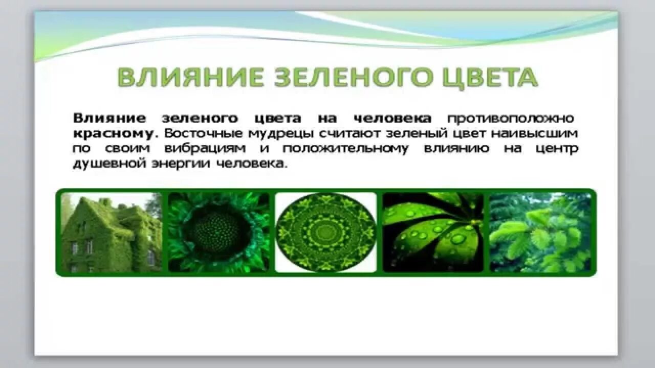 Что дает зеленый цвет. Интересные факты о зеленом цвете. Влияние зеленого цвета на человека. Салатовый цвет влияние на человека. Влияние зеленых оттенков.