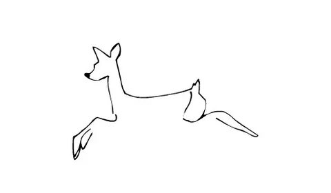 Как нарисовать косулю
