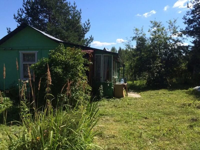Снт огонек новосибирск. Участки снт огонек. Участки снт огонек. Участки снт огонек. Участки снт огонек.