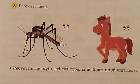 4 сынып казак 4 сабақ
