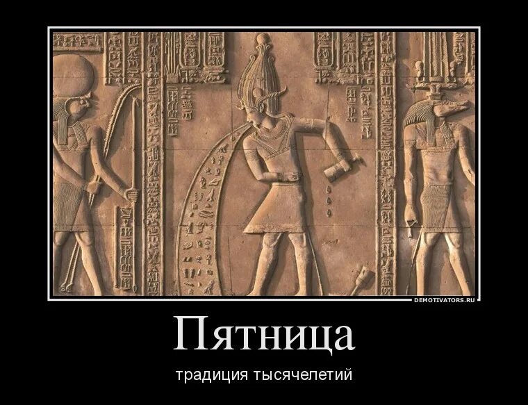 Мемы про пятницу смешные Pin de Tatiana Molchaniuk en слегка цинично