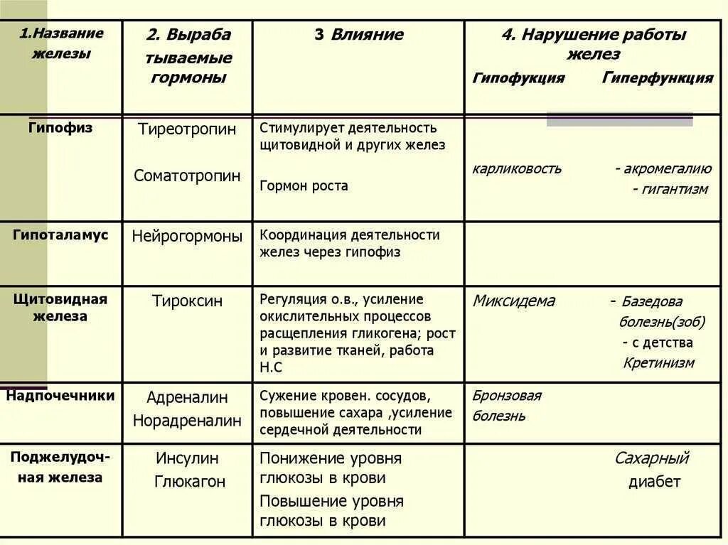 Список гормонов и их функции. .система желез внутренней секреции. функции. функции желез внутренней секреции железы. функции эндокринная система железы внутренней секреции. таблица железы внутренней секреции железы.