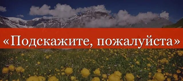 Посоветуйте пожалуйста хорошего. Подскажите пожалуйста. подскажите пожалуйста картинка. подскажите. не подскажете пожалуйста.