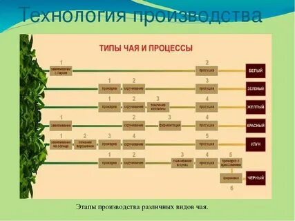 Поджаривание овощей это изменение структуры животного