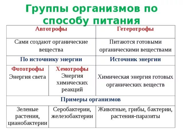 Какие различают по способу питания. Источник энергии гетеротрофов. Способы питания живых организмов. Автотрофы источник энергии. Источник получение энергии у гетеротрофов.