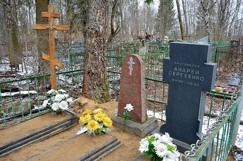 могила полины сергиенко новочеркасск.