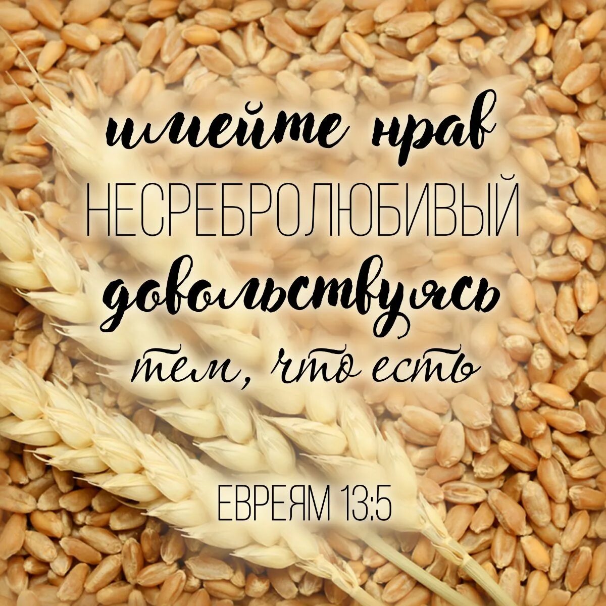 Евреям 13 5. Имейте нрав несребролюбивый довольствуясь тем что есть. имейте нрав несребролюбивый. не оставлю тебя и не покину тебя библия. евреям 13 5 не оставлю тебя и не покину тебя урок для воскресной школы.