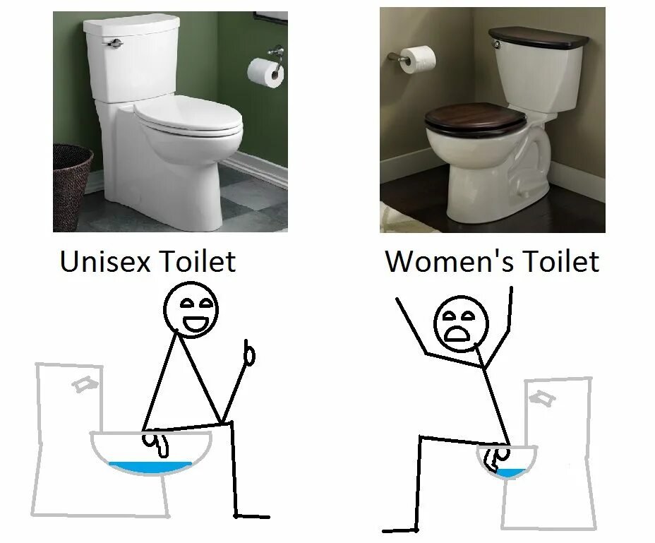Поющий туалет. Мемы про туалет. Смешные мемы про туалет.