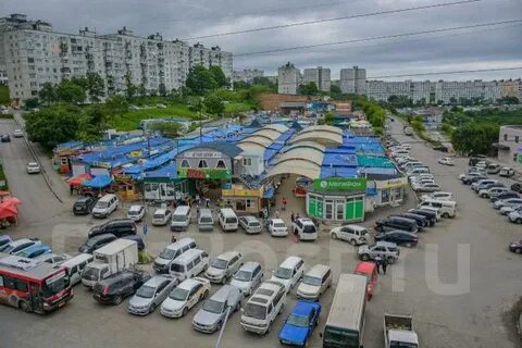 Орион владивосток