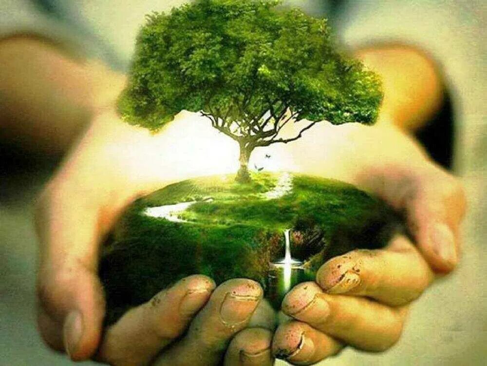Дерево в руках. Человек и природа. Человечество и природа. Дерево жизни. Связи это богатство