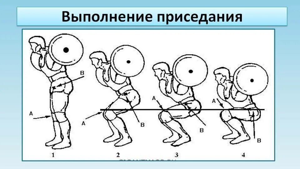 Выполнение приседаний со штангой. Техника приседания со штангой схема. приседания со штангой техника выполнения. присед со штангой техника выполнения. присед со штангой схема.