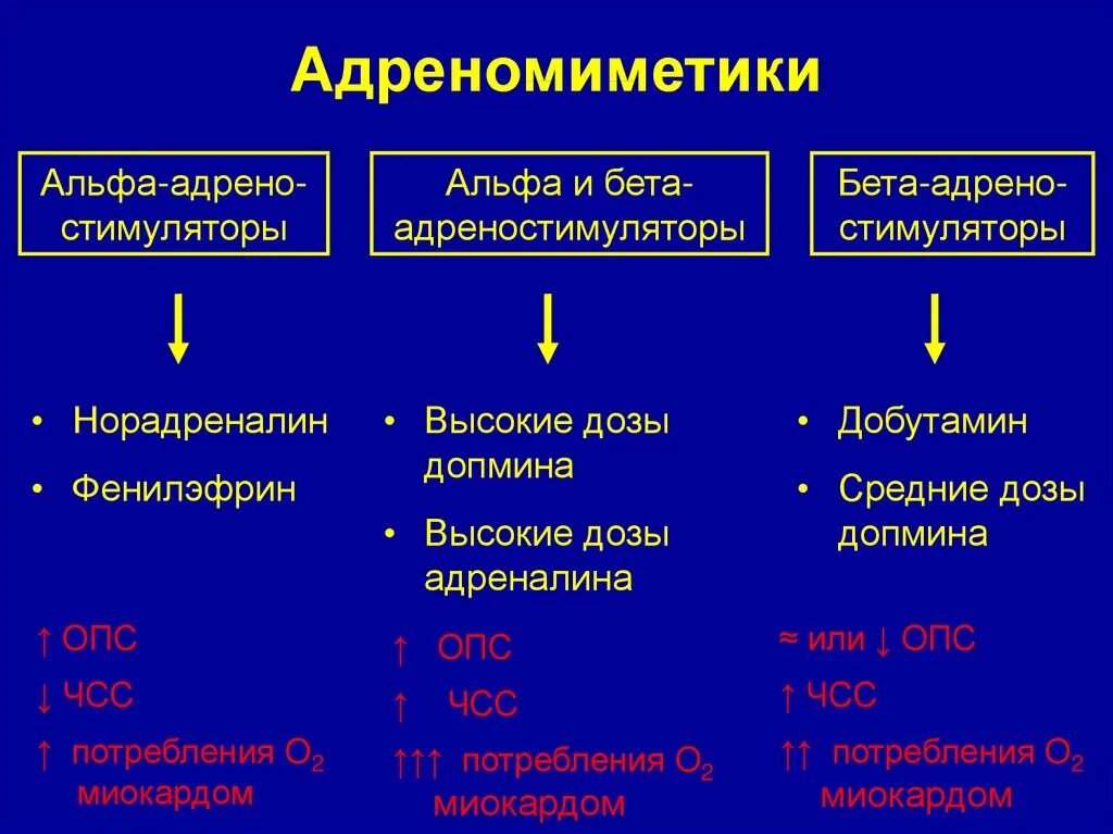 Альфа и бета адреномиметики