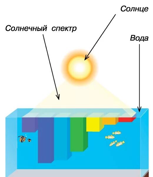 Вода поглощает свет. Поглощение света водой. Спектр света в воде. Поглощение света водой спектр. Цветовой спектр под водой.