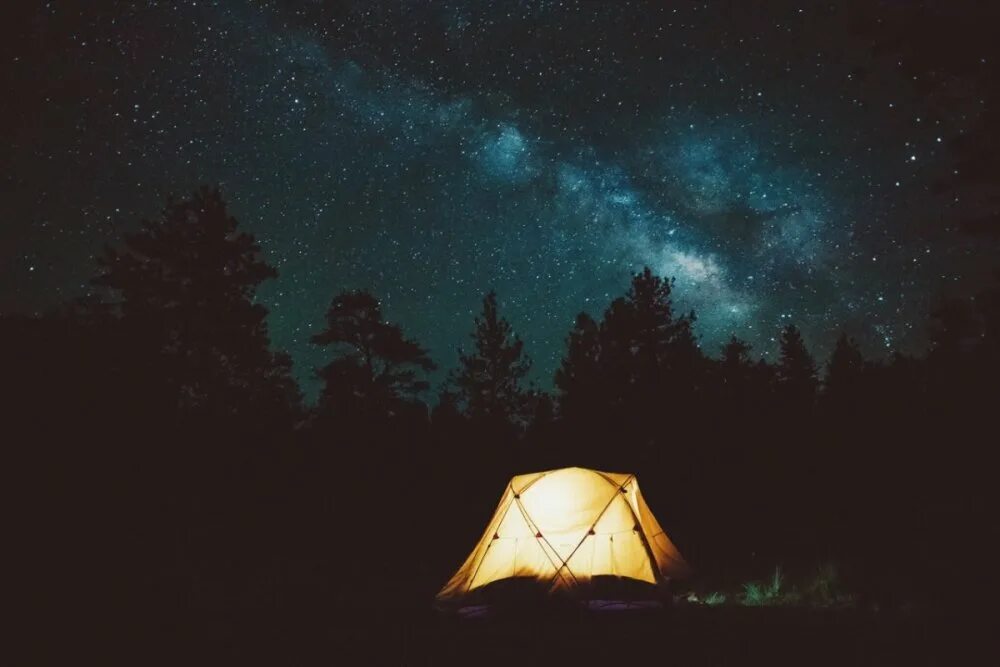 Темнота в палатке. Палатка. Палатка в лесу. Палатка в лесу ночью. Палатка на природе ночью.