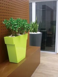 Яркое кашпо