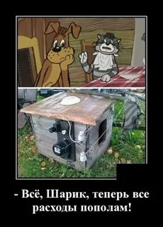 Теперь шарика