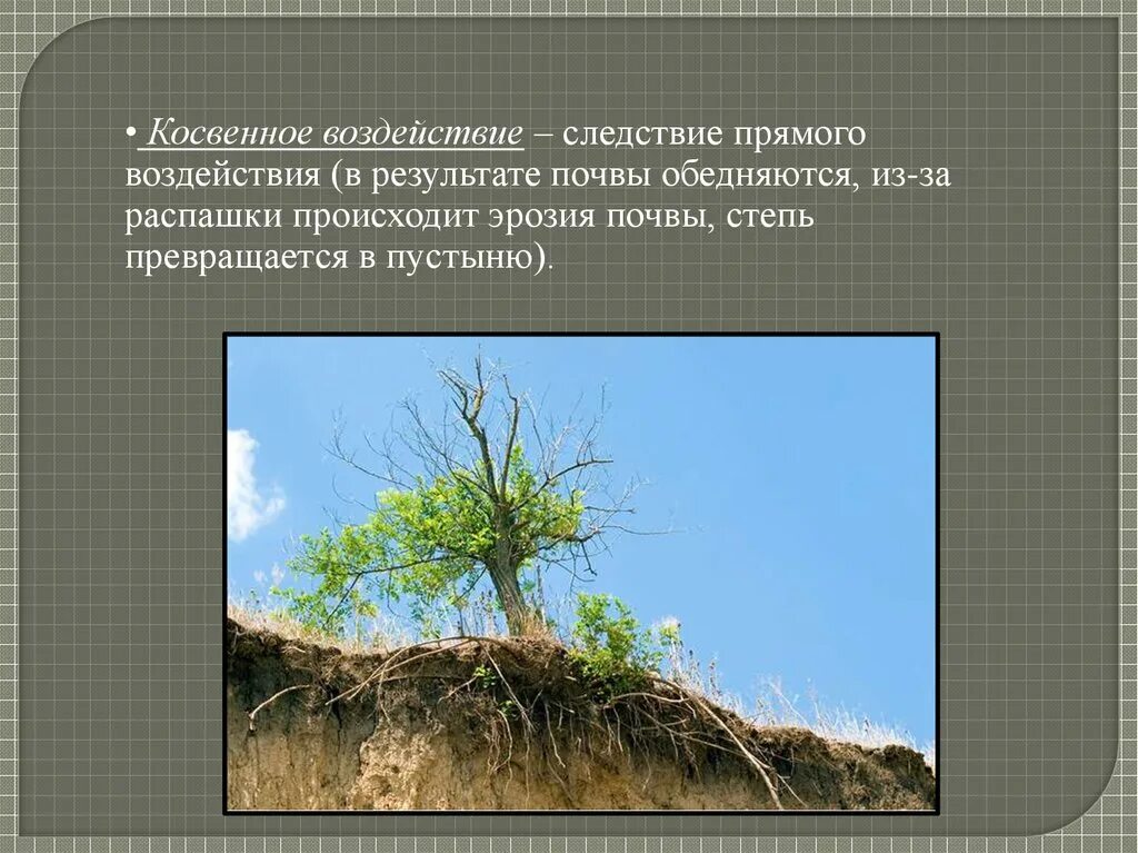 Косвенное воздействие. Косвенное влияние. Прямое и косвенное воздействие на почву. Косвенное воздействие человека на почву. Косвенное влияние на жизнь человека оказывают