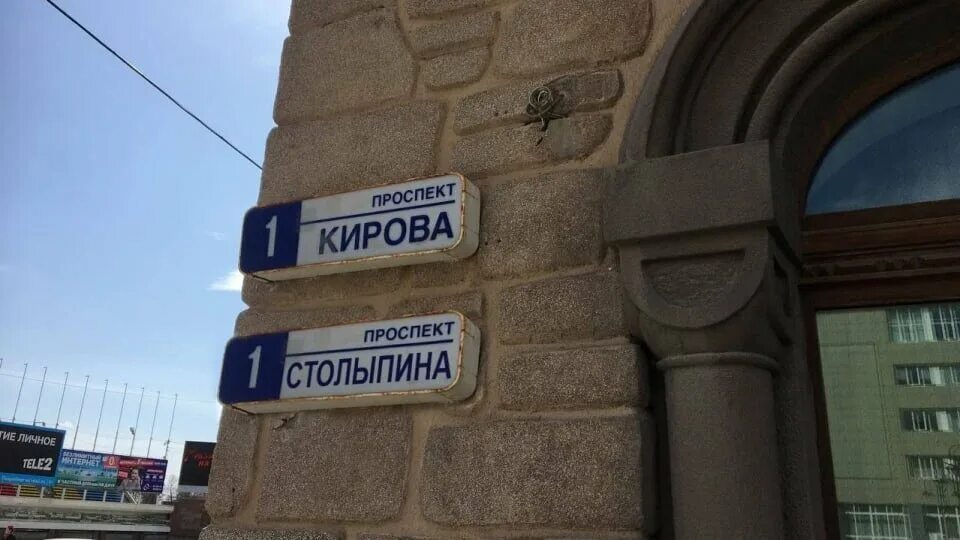 На проспекте Столыпина в Саратове массово пилят молодые деревца 19.04.2022 Сарат