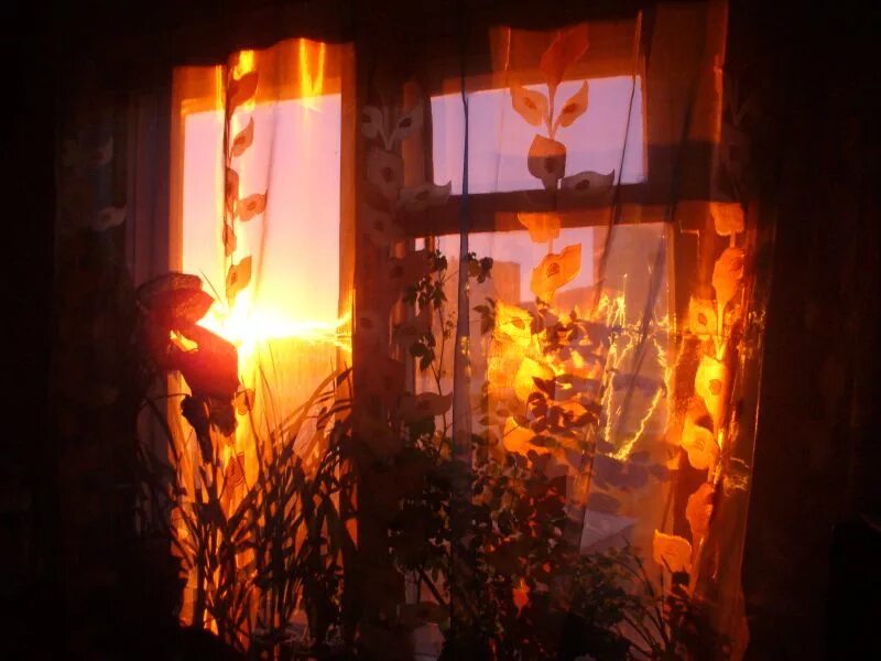 Вид из деревенского окна. Солнце отражается в окне. Солнце отражается в окне. Отражение солнца в окне. Отражение заката в окнах.