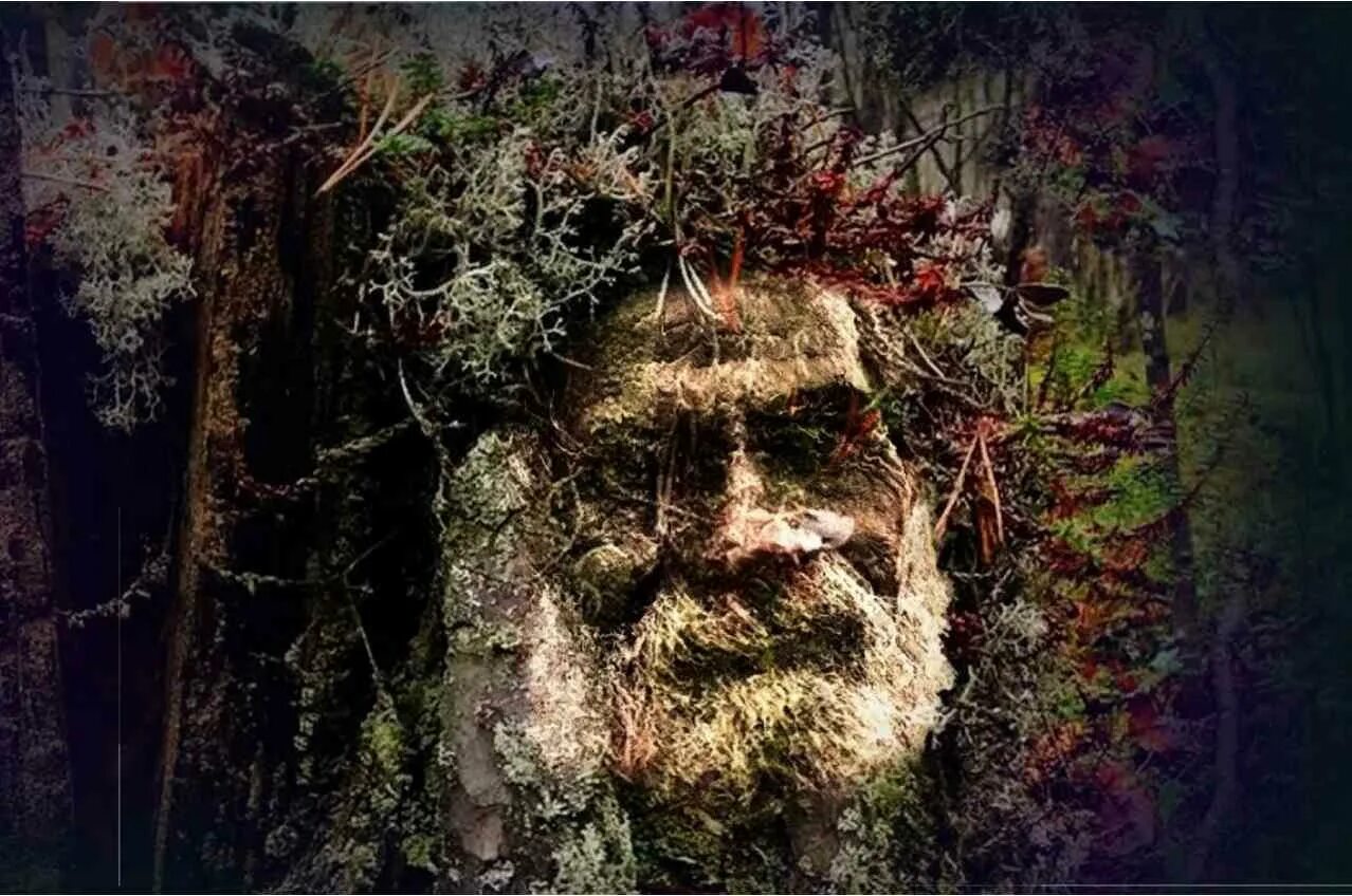 Леший в реальной жизни. Леший в реальной жизни в лесу. Леший в пензе в арбековском лесу. Нечисть в реальной жизни. Леший в реальной жизни.