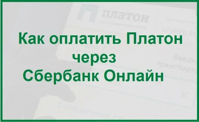 Как оплатить платон через сбербанк. Оплатить платон через сбербанк. как оплатить платон через телефон.