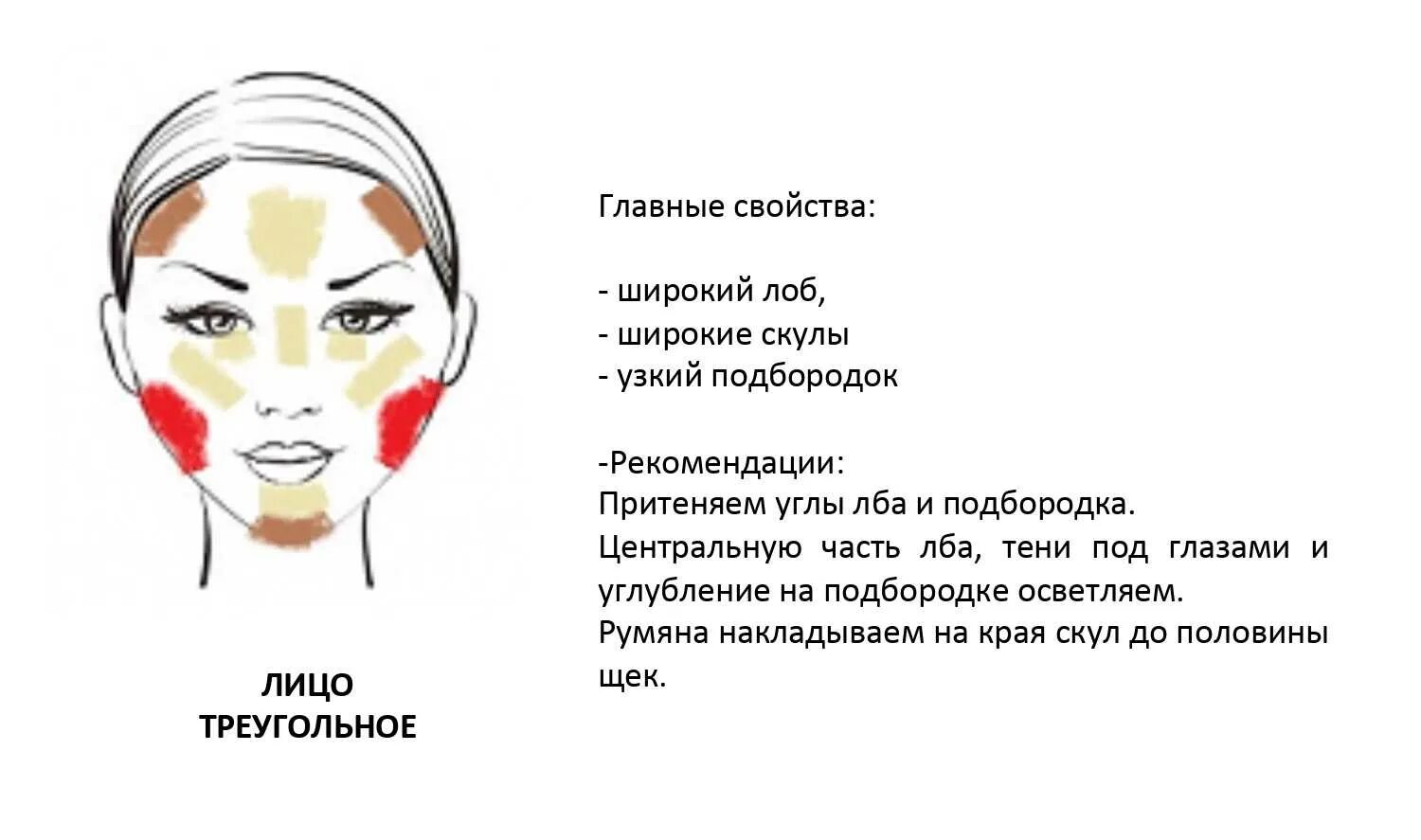 Как правильно пользоваться пудрой для лица. Широкие скулы схема. куда наносить пудру и румяна. как правильно наносить пудру и румяна. куда наносить румяна в макияже схема.