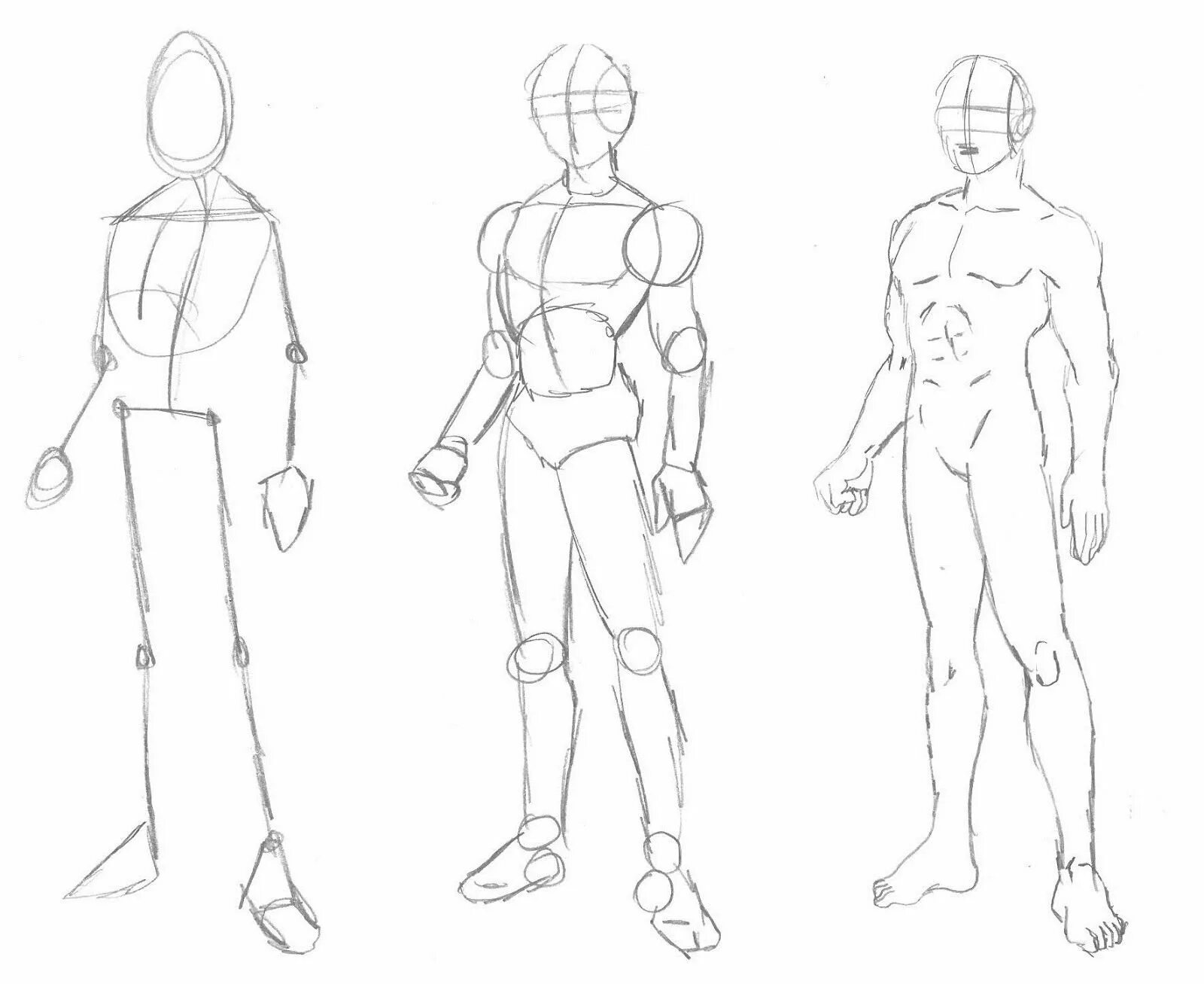 Анатомия человека для рисования для начинающих. Анатомия тела человека для рисования. Поэтапное рисование тела. Рисование тела для новичков.