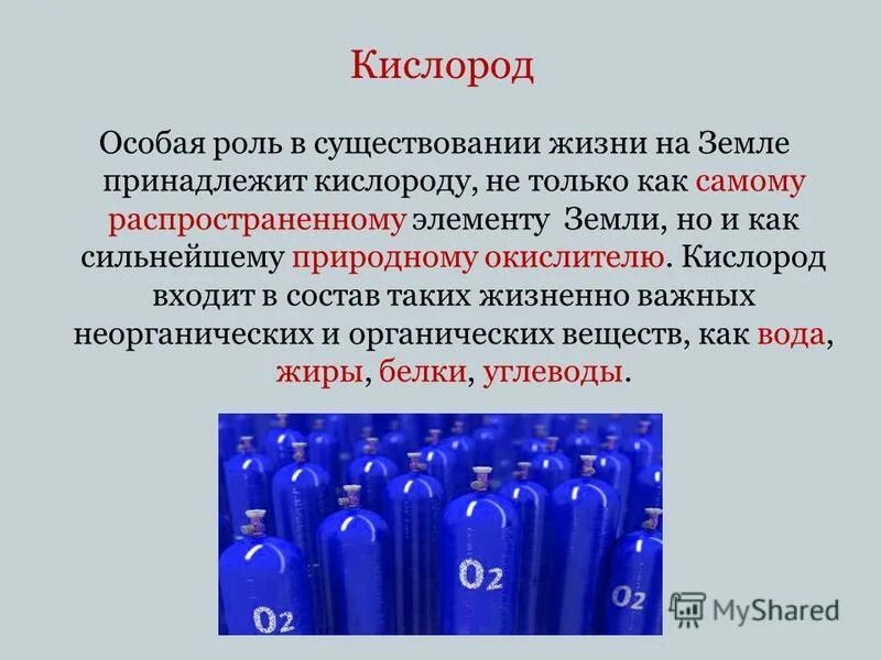 Какую функцию выполняет кислород в организме человека